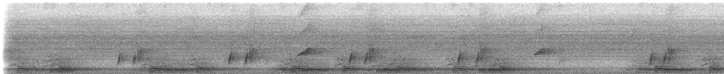 Rufous Hornbill - ML217271