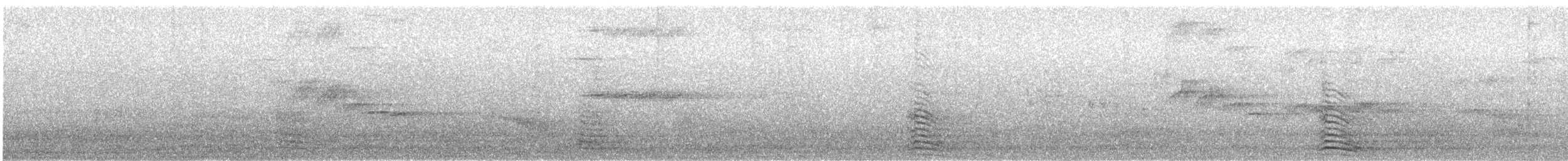 Mittelmeermöwe - ML217275261
