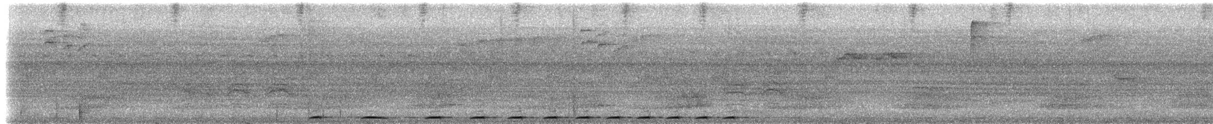 White-eared Brown-Dove - ML217279