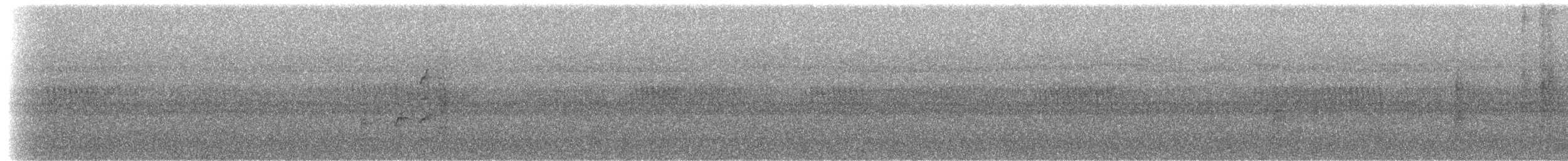 Mindanao Pygmy-Babbler - ML217281