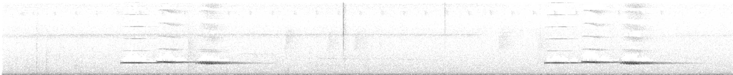 Pheasant Cuckoo - ML217281171