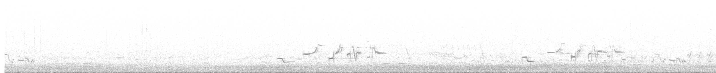 Western Meadowlark - ML217288971