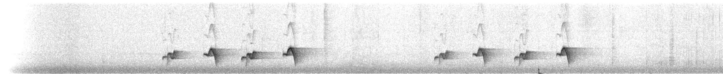 Troglodyte à poitrine grise - ML217300621