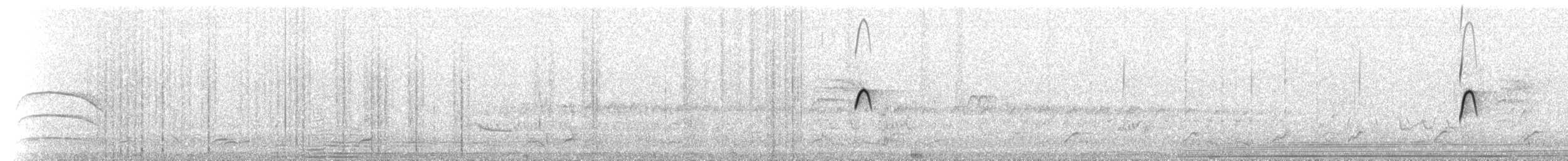 Vermilion Flycatcher (Austral) - ML217331