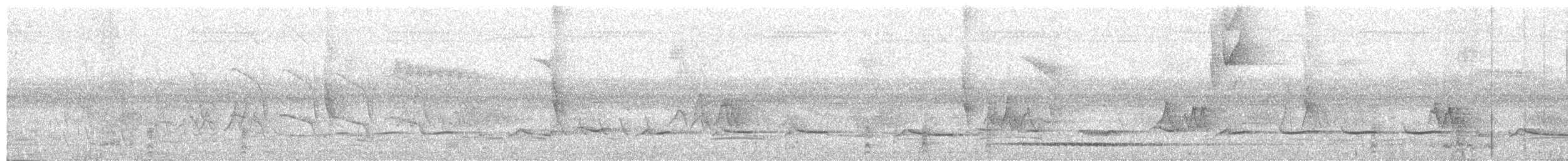 オバシギダチョウ - ML217345321