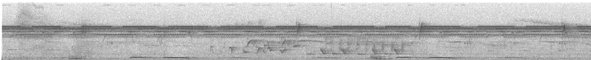Борнейская воронья кукушка - ML217350001