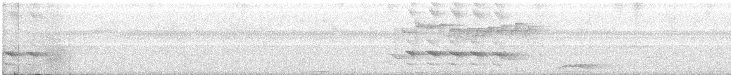 Sacred Kingfisher - ML217415301