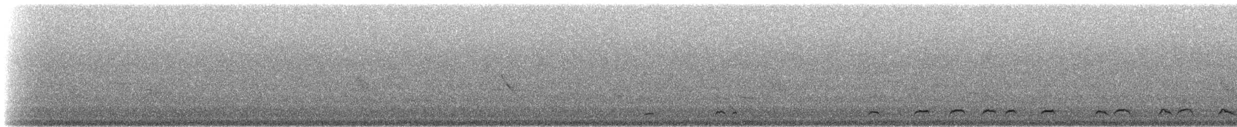 Lyre-tailed Nightjar - ML217420