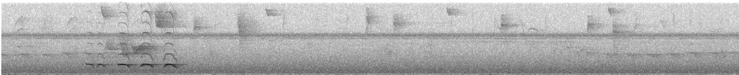 Trogon rosalba (groupe collaris) - ML217462981