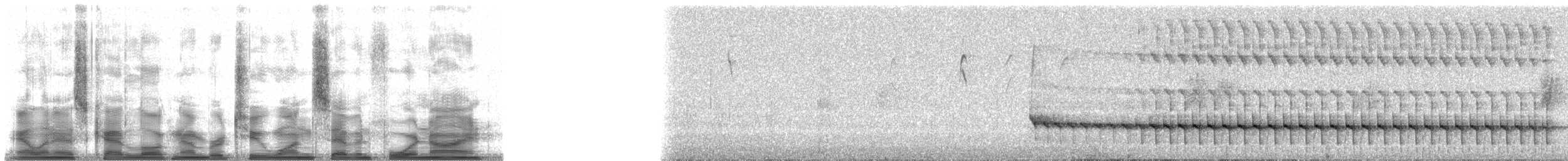 Мурашниця екваторіальна - ML21749