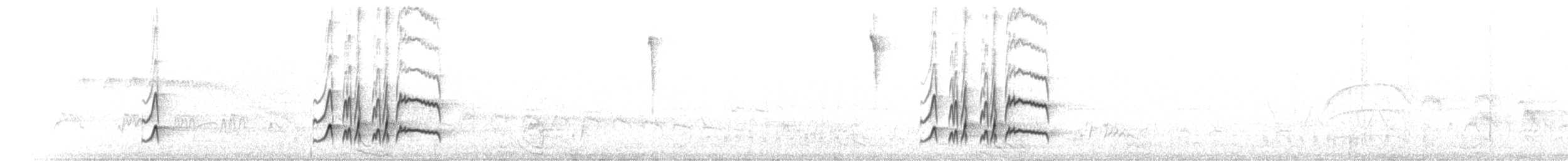 Braunschopftyrann (tyrannulus/bahiae) - ML217490