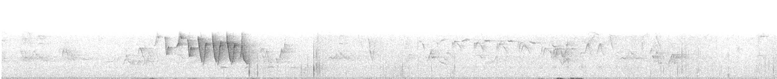 Northern Waterthrush - ML217497271