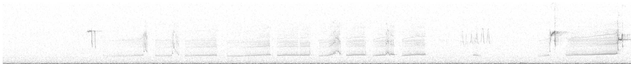 Кратеропа сіролоба - ML21750731