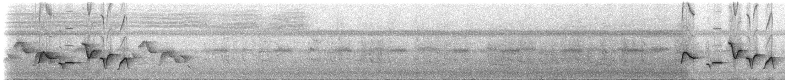 Spot-breasted Wren - ML217537