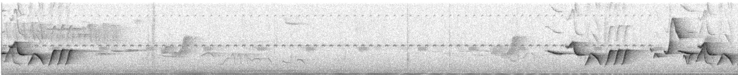 Troglodyte de Sclater (paucimaculatus) - ML217555641