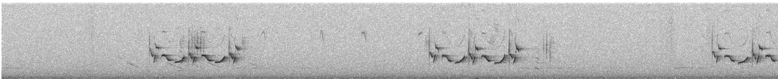 Поплітник каролінський - ML217566231