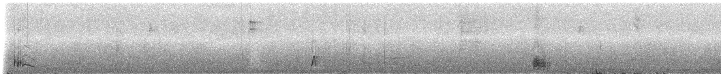 cozumelsmett - ML217571