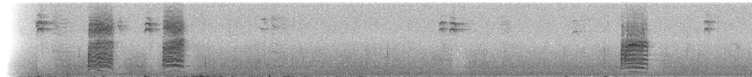 ブユムシクイ（cozumelae） - ML217572