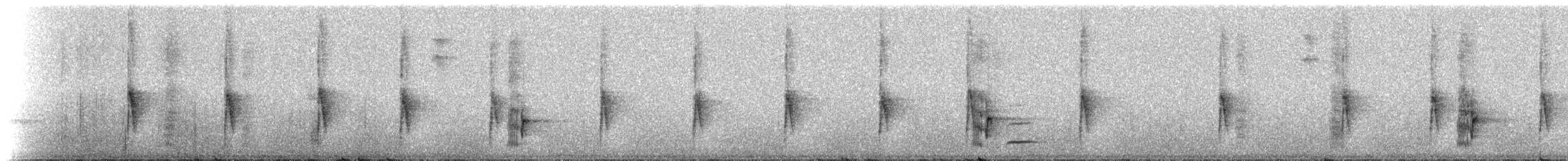 brunparula - ML217573