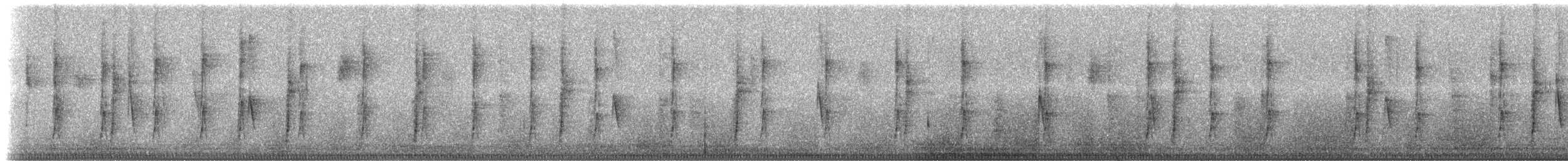 new world warbler sp. - ML217574
