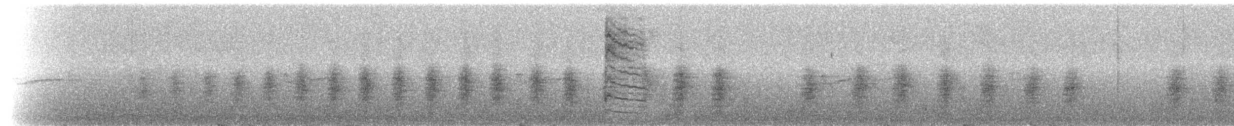 nordmyggsmett (cozumelae) - ML217581