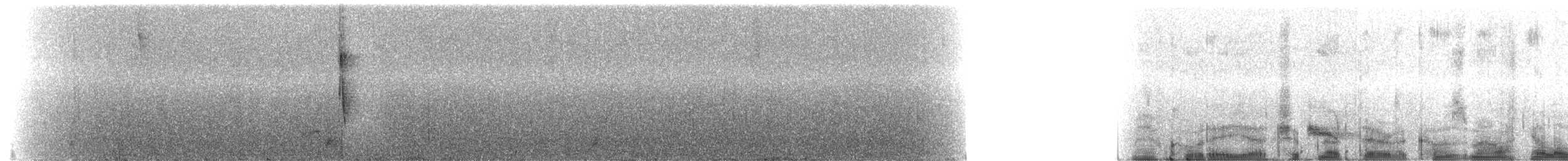 Mangrove Yellow Warbler (Cozumel) - ML217582