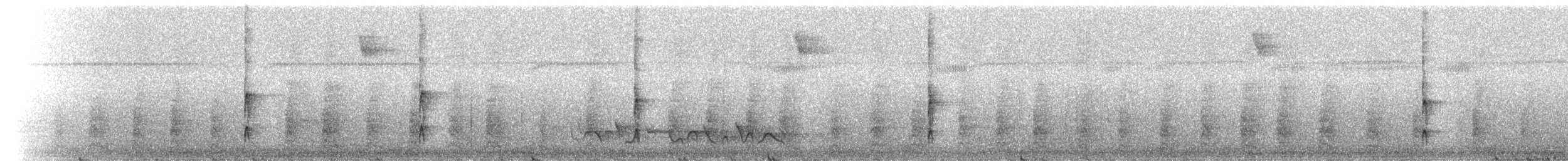 Swainson's Warbler - ML217583