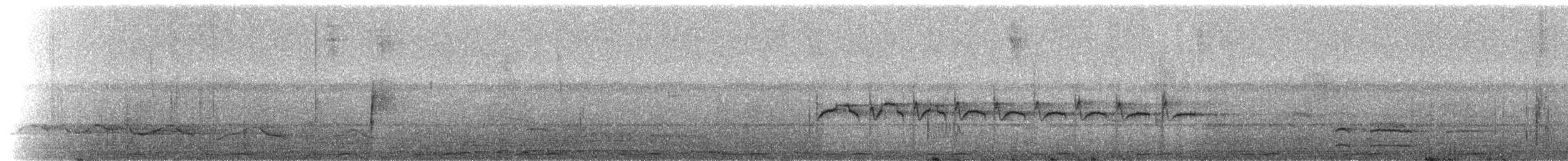 Northern Beardless-Tyrannulet - ML217587