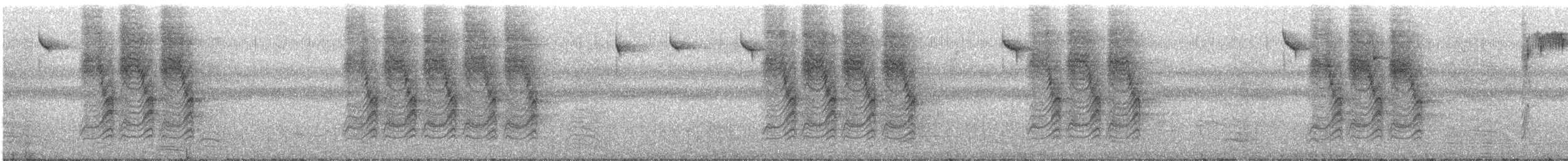 Grauhäubchenmeise - ML217587181