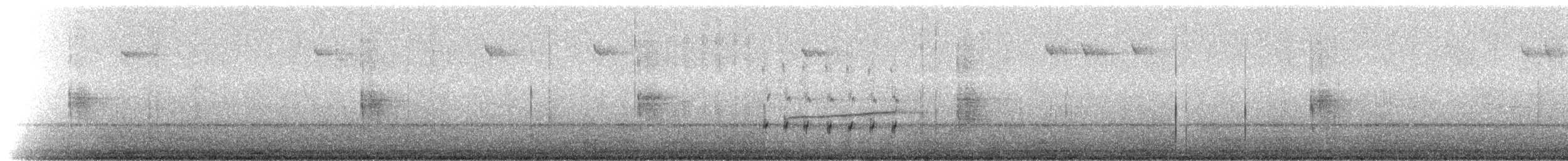 コスメルモズモドキ - ML217593