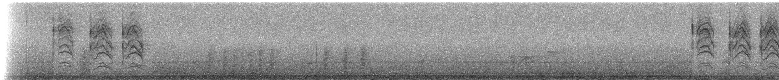 Blue-gray Gnatcatcher (Cozumel) - ML217596