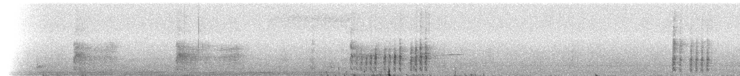 Yucatan Woodpecker - ML217597