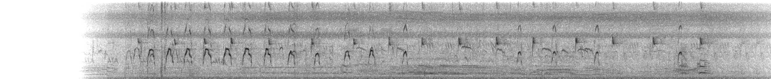 Black-winged Stilt - ML217623291