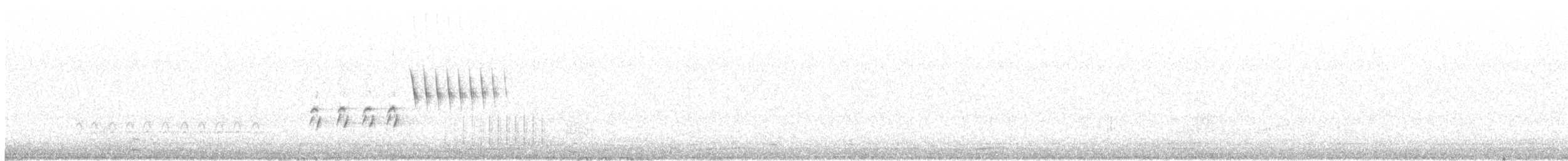 Тауї плямистий - ML217657411