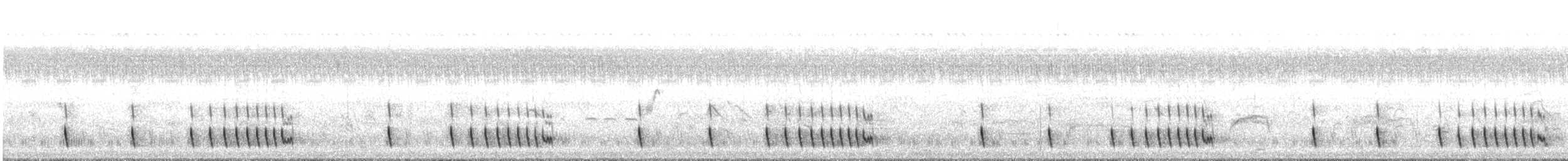 Indiennachtschwalbe - ML217701821