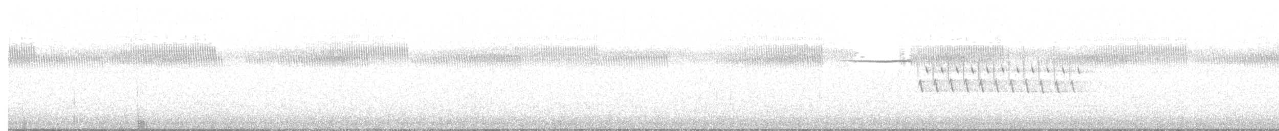 Bachman's Sparrow - ML217703181