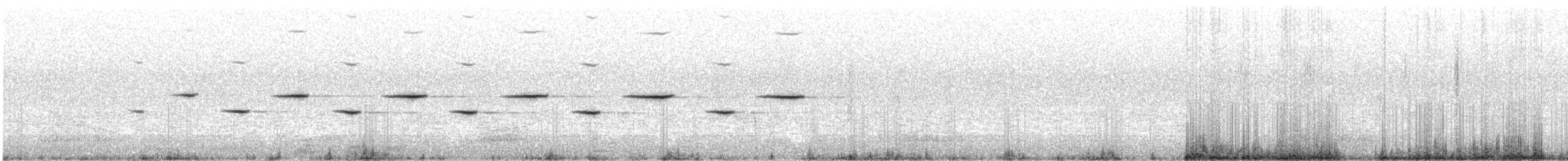 Upland Pipit - ML217719211
