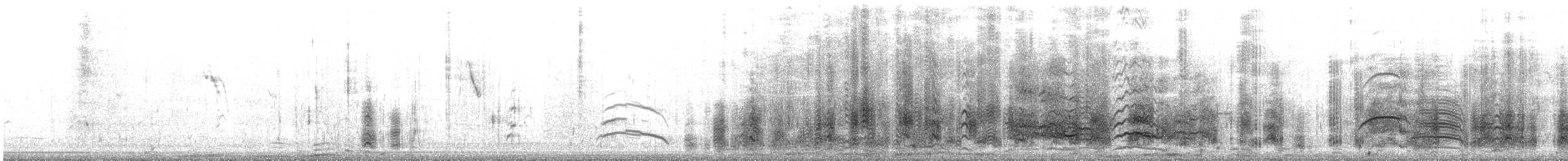 Braunkopfmöwe - ML217746501