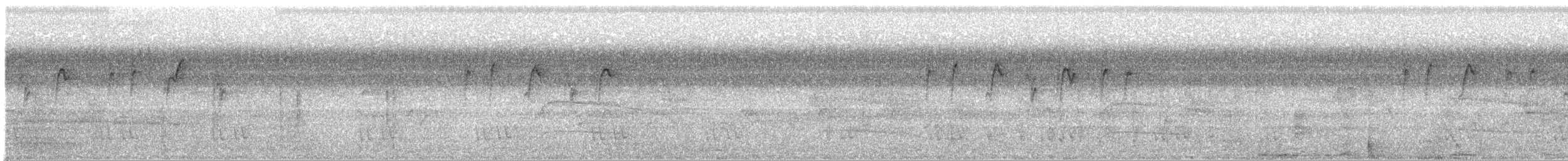 Sperlingsvogel, unbestimmt - ML217759961