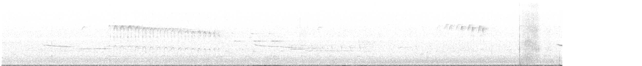 strakapoud osikový (ssp. pubescens/medianus) - ML217787291