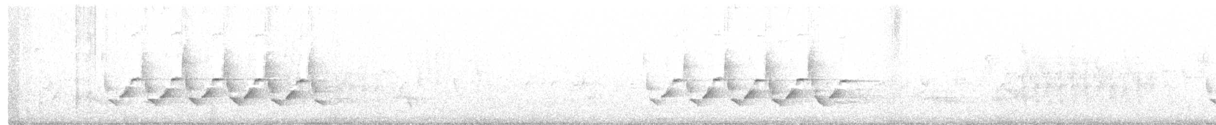 Каролинский крапивник - ML217826381