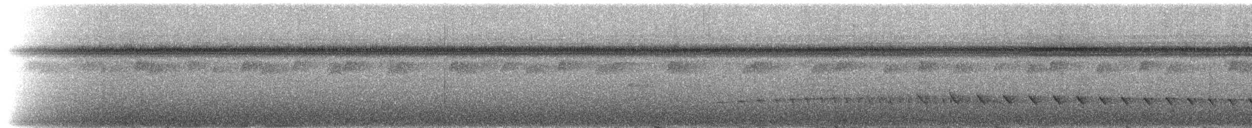 skjeggmaursmett (obscura) - ML217846