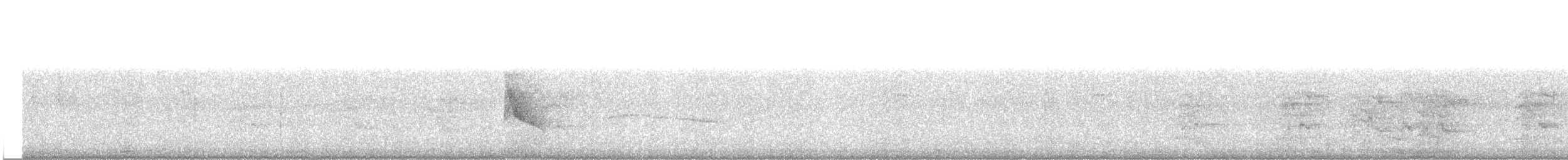 hvitskjeggmanakin - ML217847811