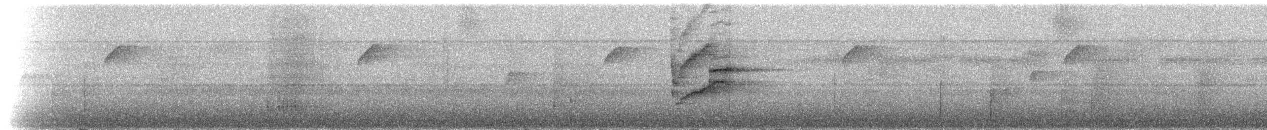 Sarı Telekli Yassıgaga (obscuriceps) - ML217878