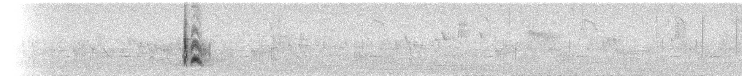 Серогрудый тиранн - ML217906651