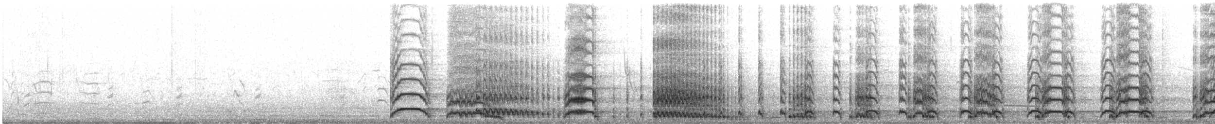 Saruskranich - ML217999061