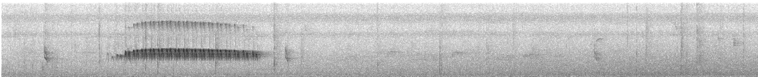 Schwarzgesicht-Ameisenvogel - ML218073541