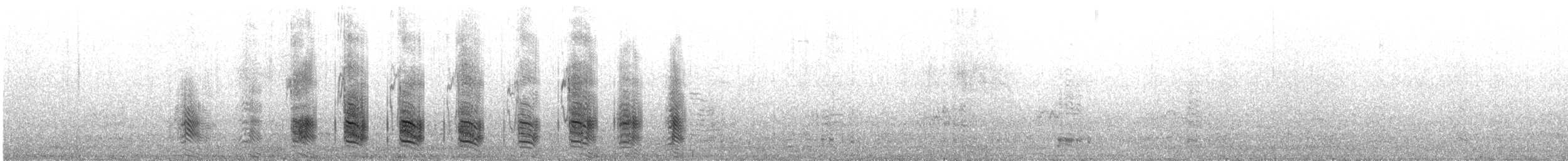Kahverengi Korsanmartı (antarcticus) - ML21809971