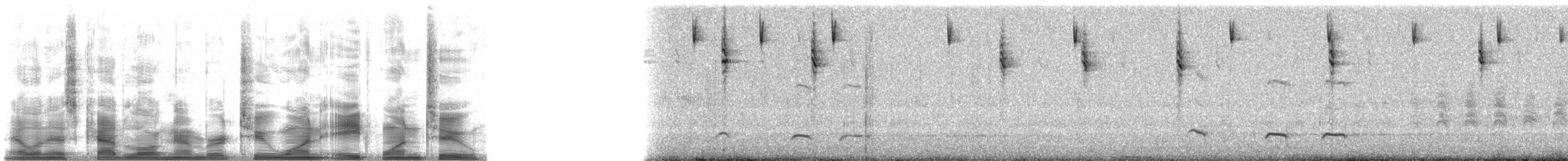 Atlapetes Nuquipálido - ML21812