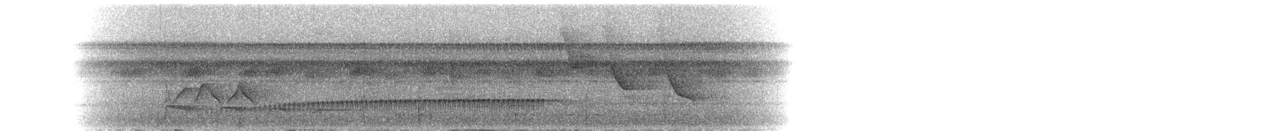 Тікотіко смугастобокий - ML218121301